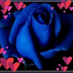 Meet your Posher, Cassy